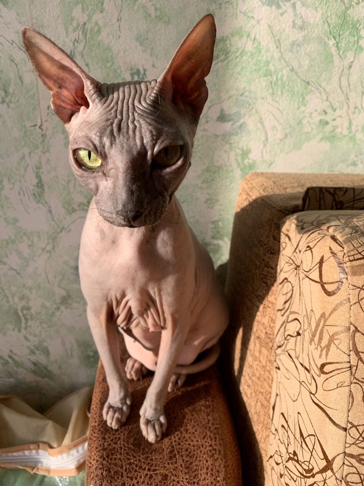 Photograph by Светлана Хохлова