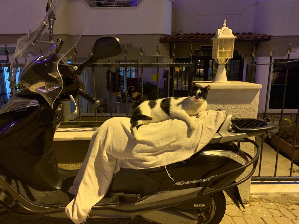 Photograph by Светлана Хохлова