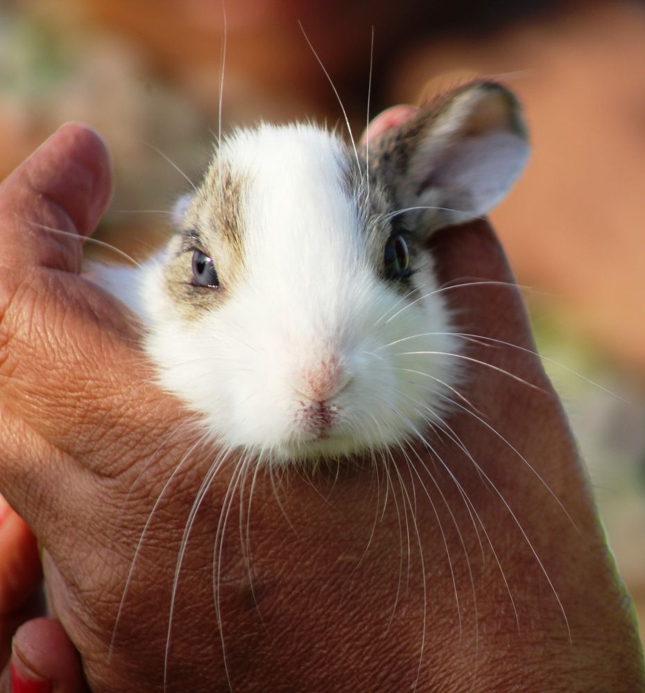 Фотография автора Vivek Tavate