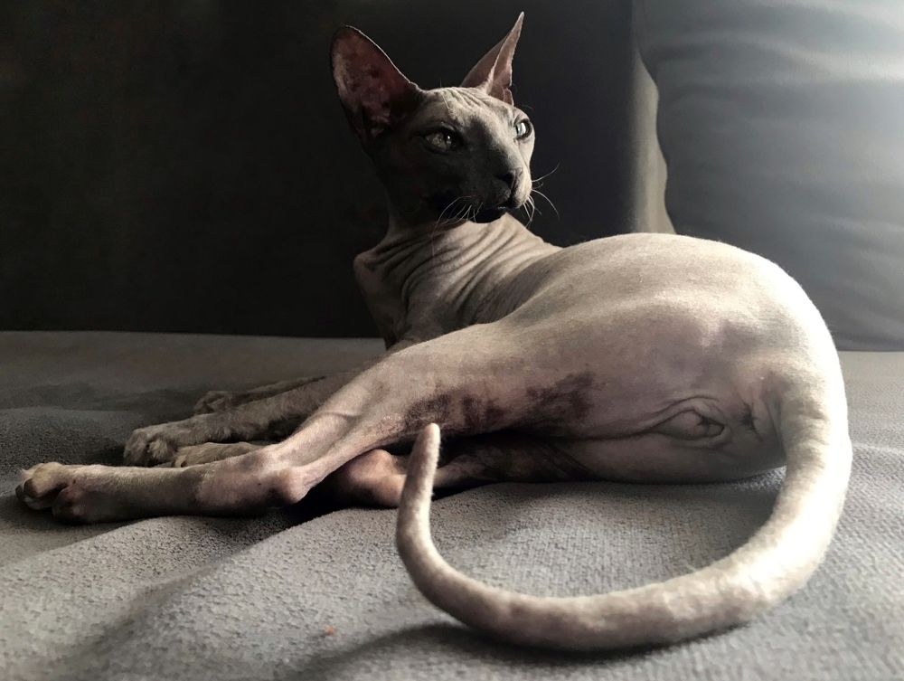 Photograph by Мария Берёзка