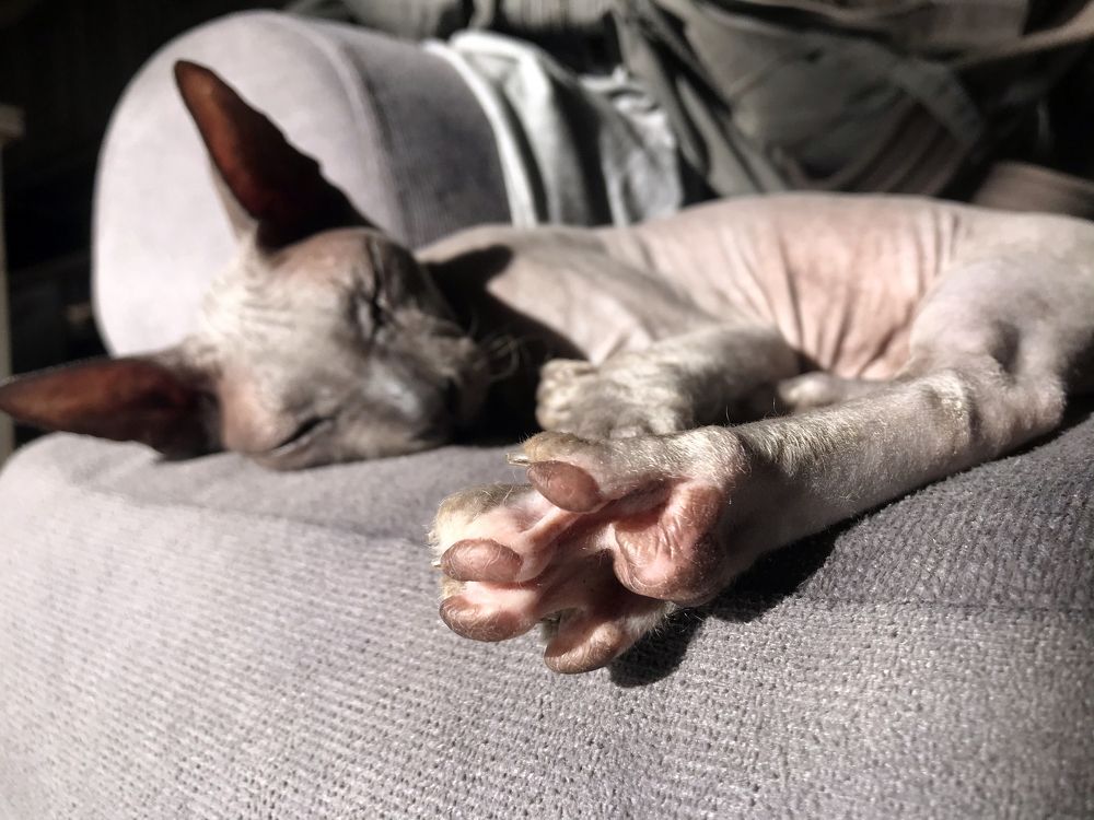 Photograph by Мария Берёзка