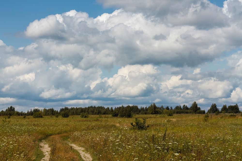 Photograph by Николай Астанин