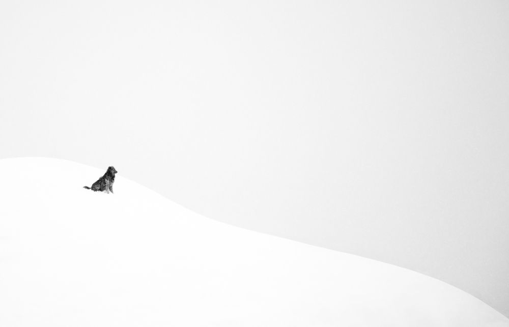 Photograph by Atefeh akbari