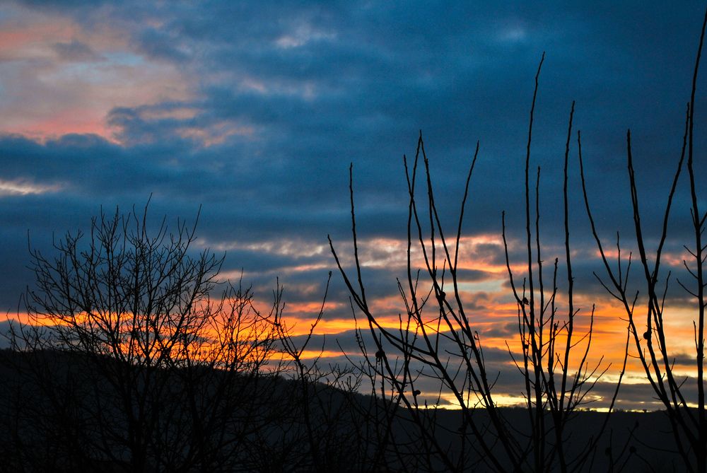 Photograph by Isidora Nikolić