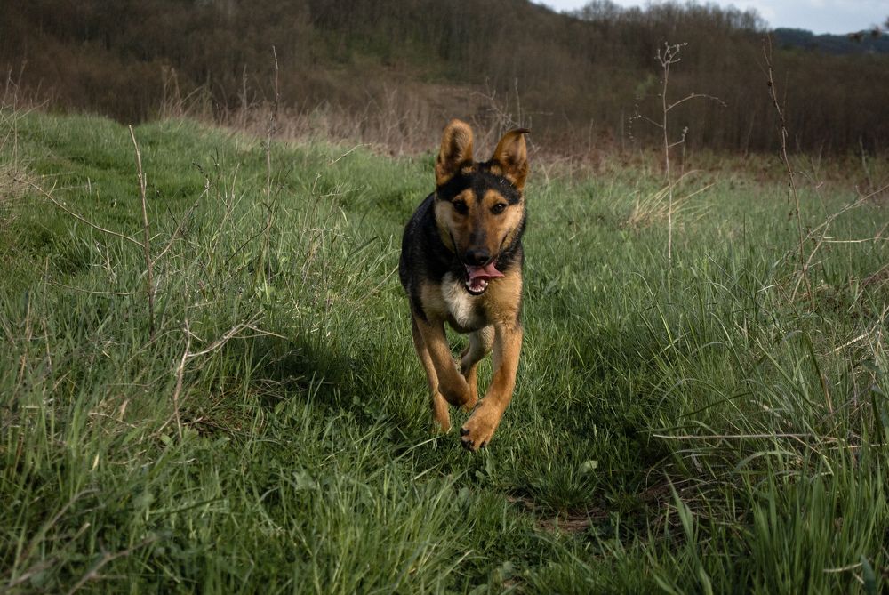 Photograph by Isidora Nikolić