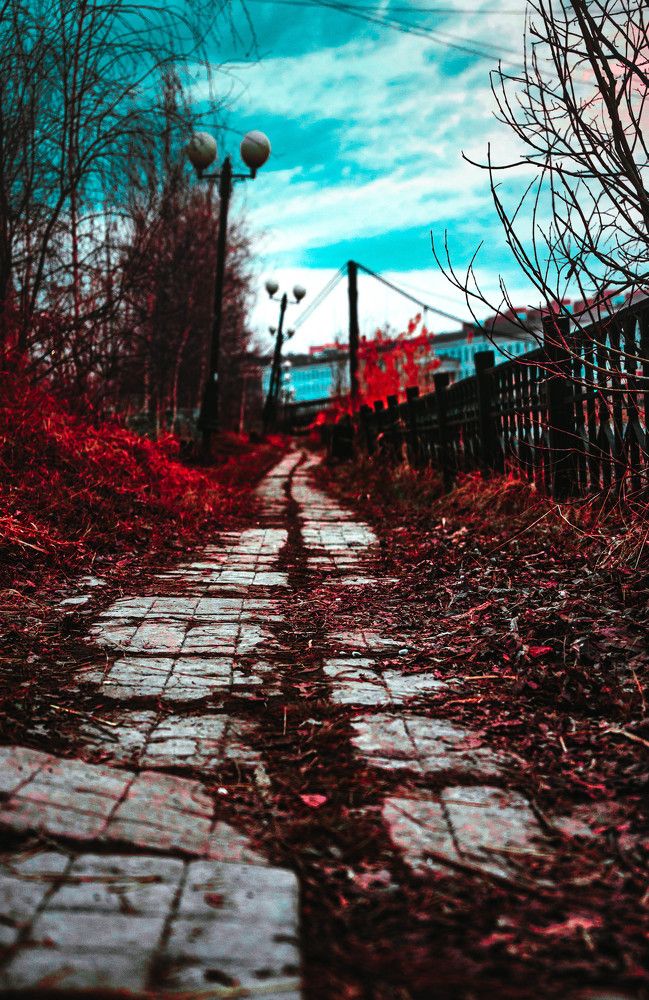 Photograph by Тимур Пак