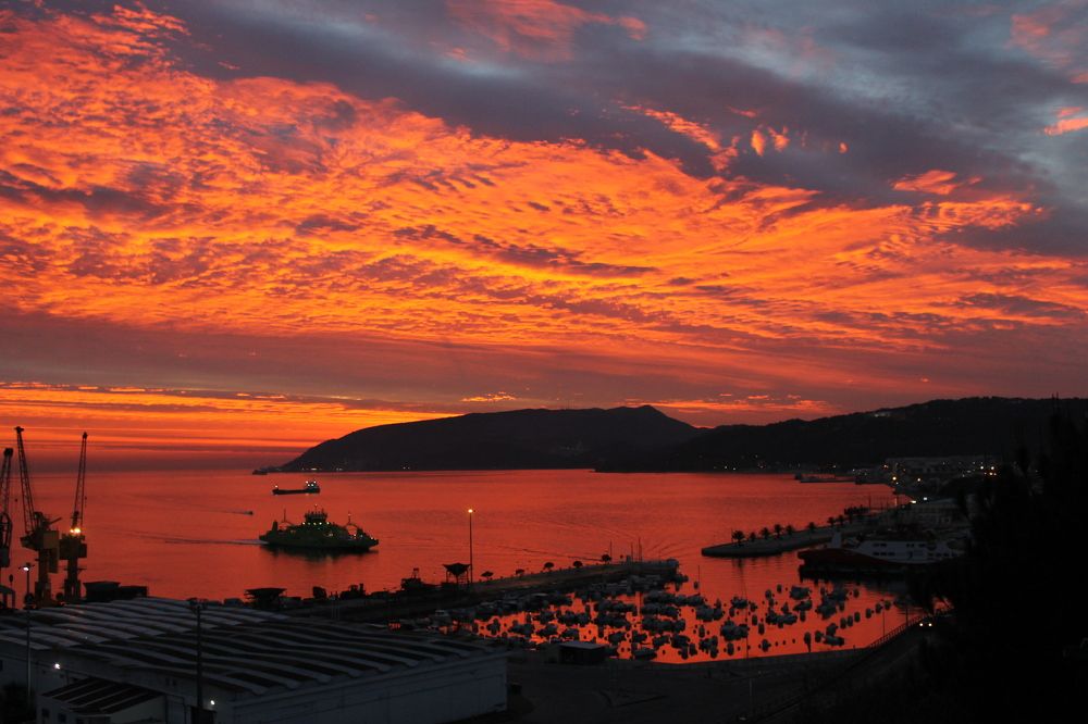 Photograph by Francisco Ferreira