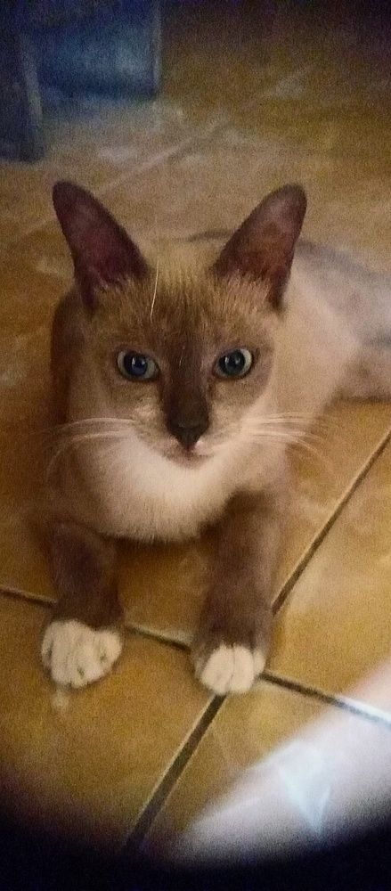 Photo #6094212