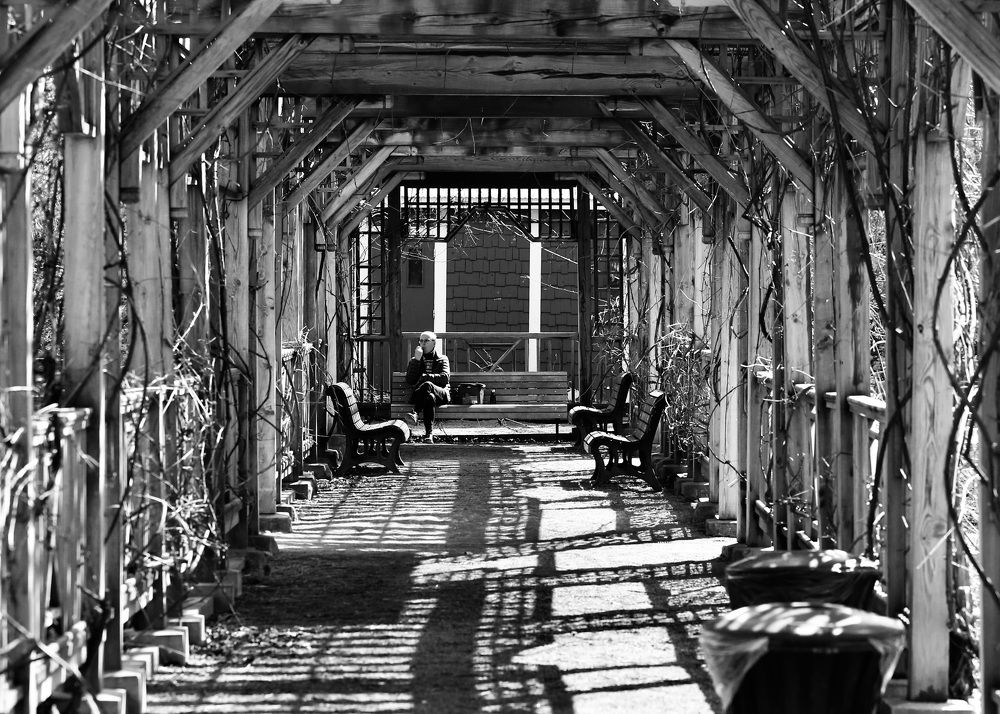 Photograph by Jean Sebastien Morazzani