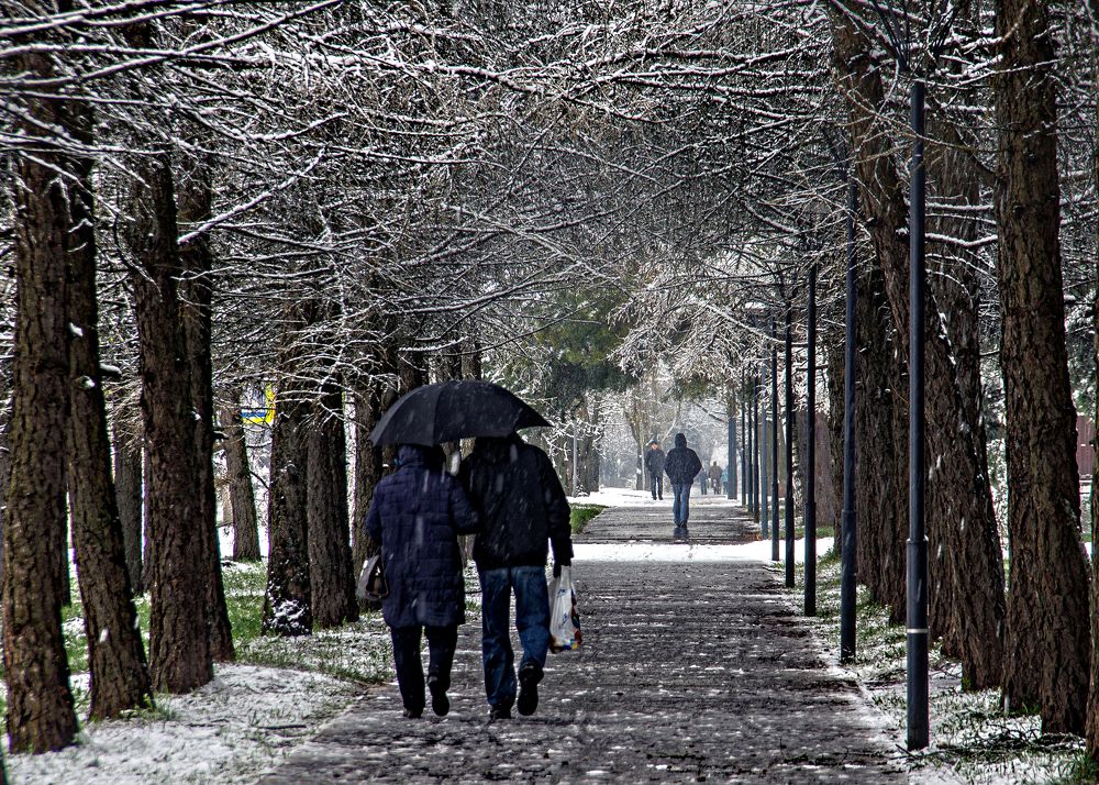 Photograph by Анатолий Веремеев