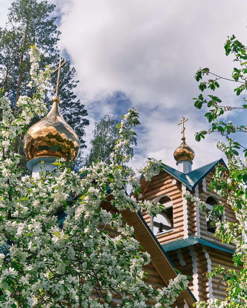 Photograph by Екатерина