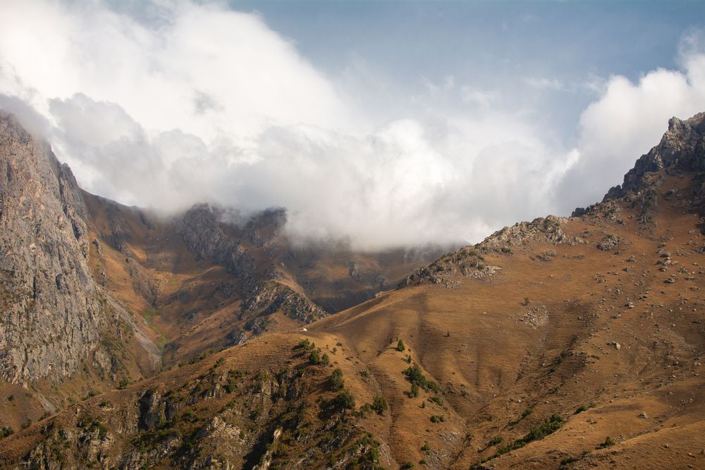 Photograph by Дильмурад Ахмедов