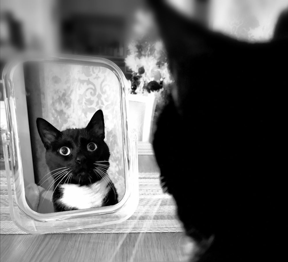 Photograph by Olga Asson