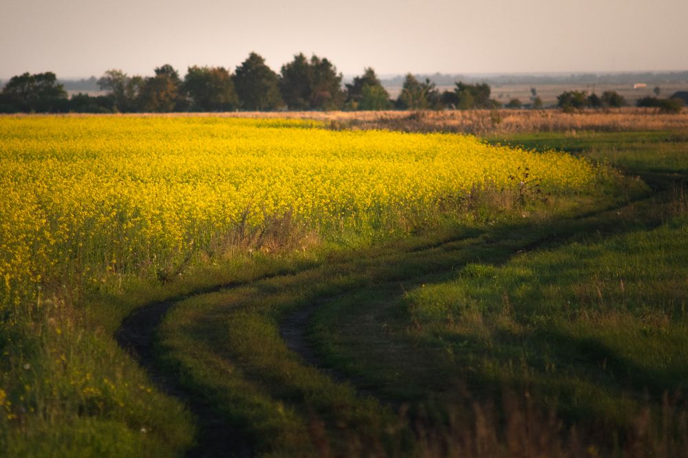 Photograph by Денис Храмеев