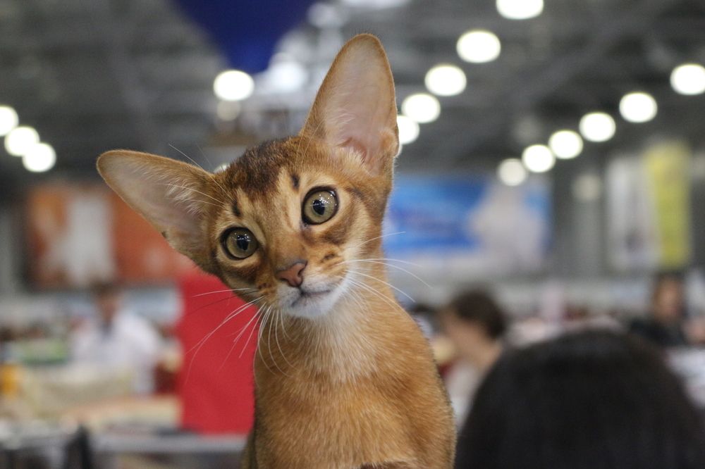 Photograph by Игорь Соколов