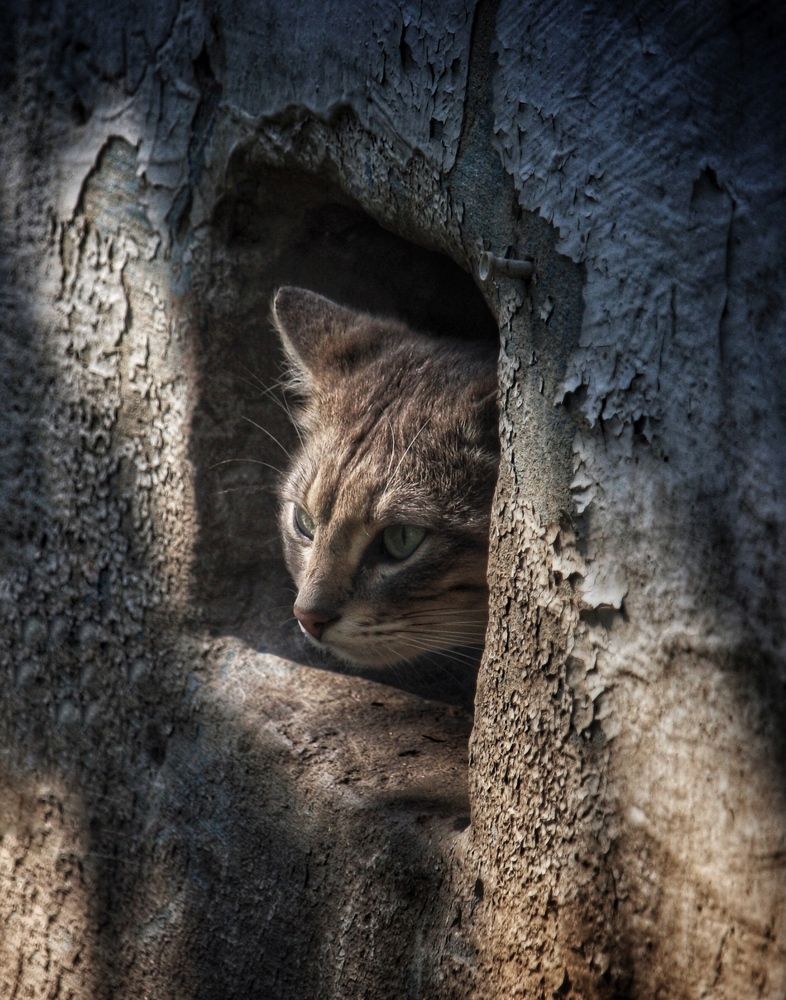 Photograph by Алексей Кроль