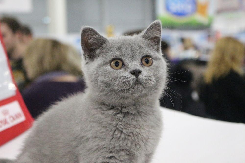 Photograph by Игорь Соколов