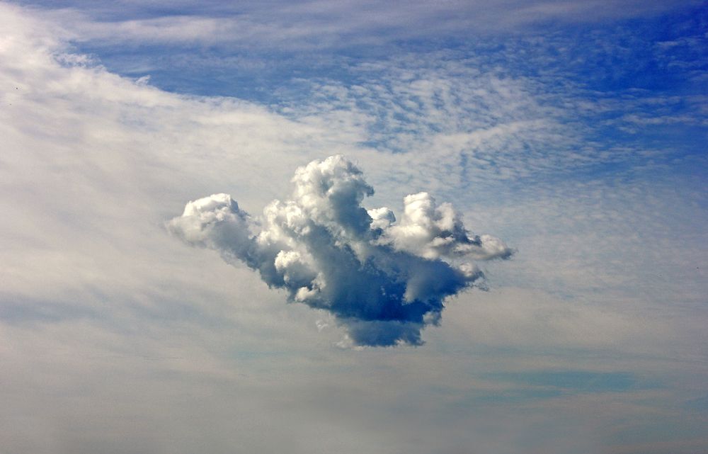 Облачная птица.