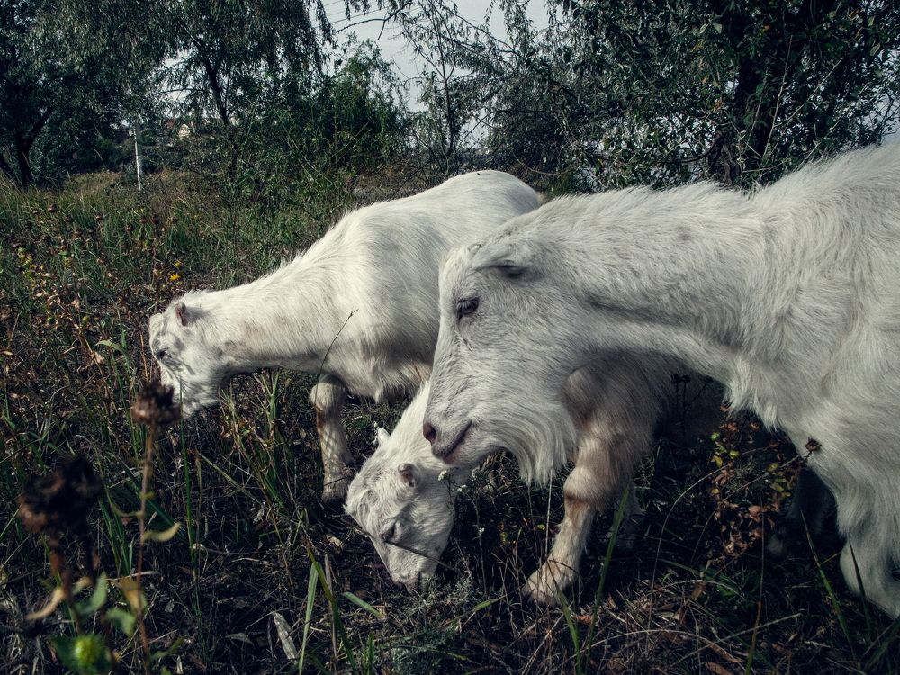 Photograph by Евгений Новицкий