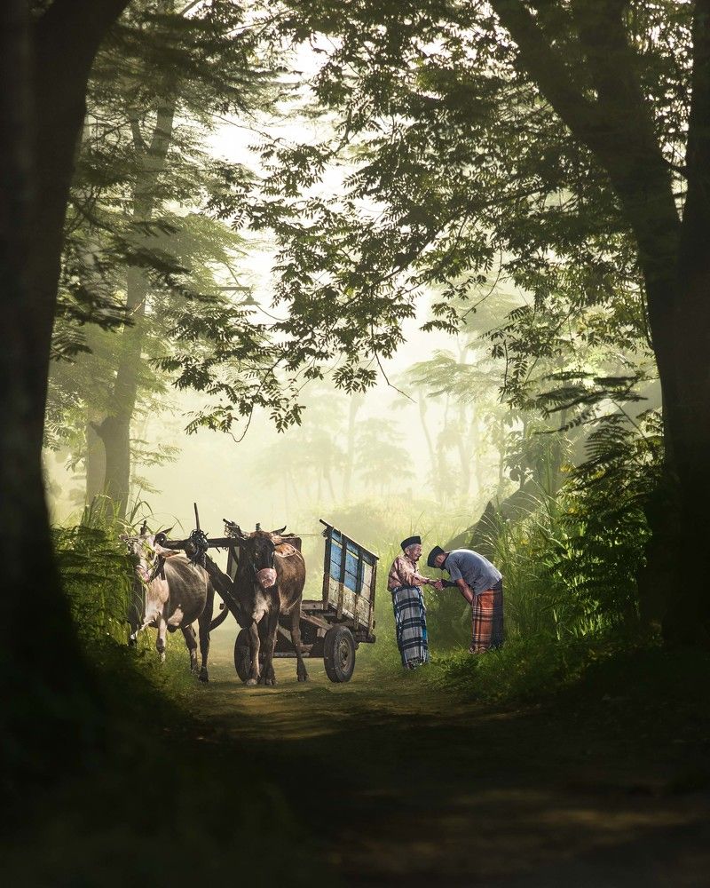 Photograph by Suhendro winarso