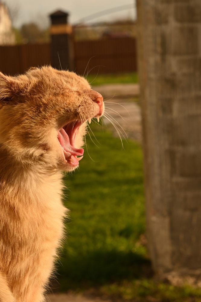 Photograph by Володимир Білоцькій