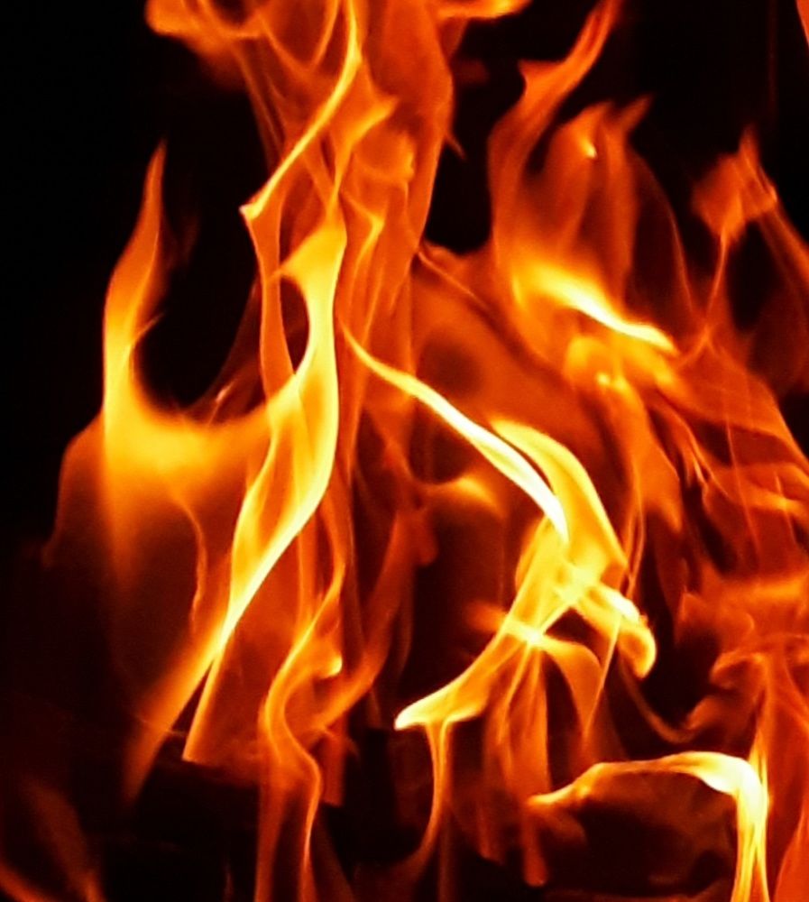 Photo #6094462