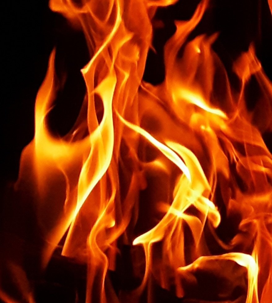 Photo #6094462