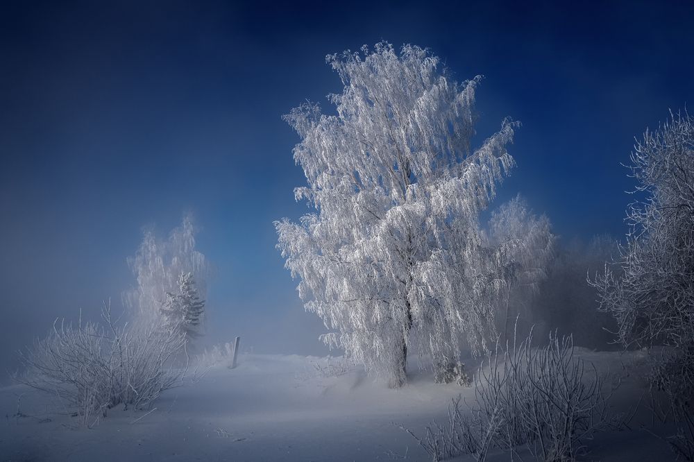 Фотография автора Александр Рудный
