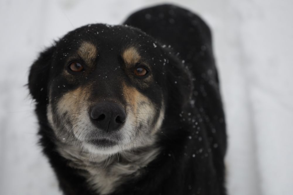 Photograph by Малиновська Олександра