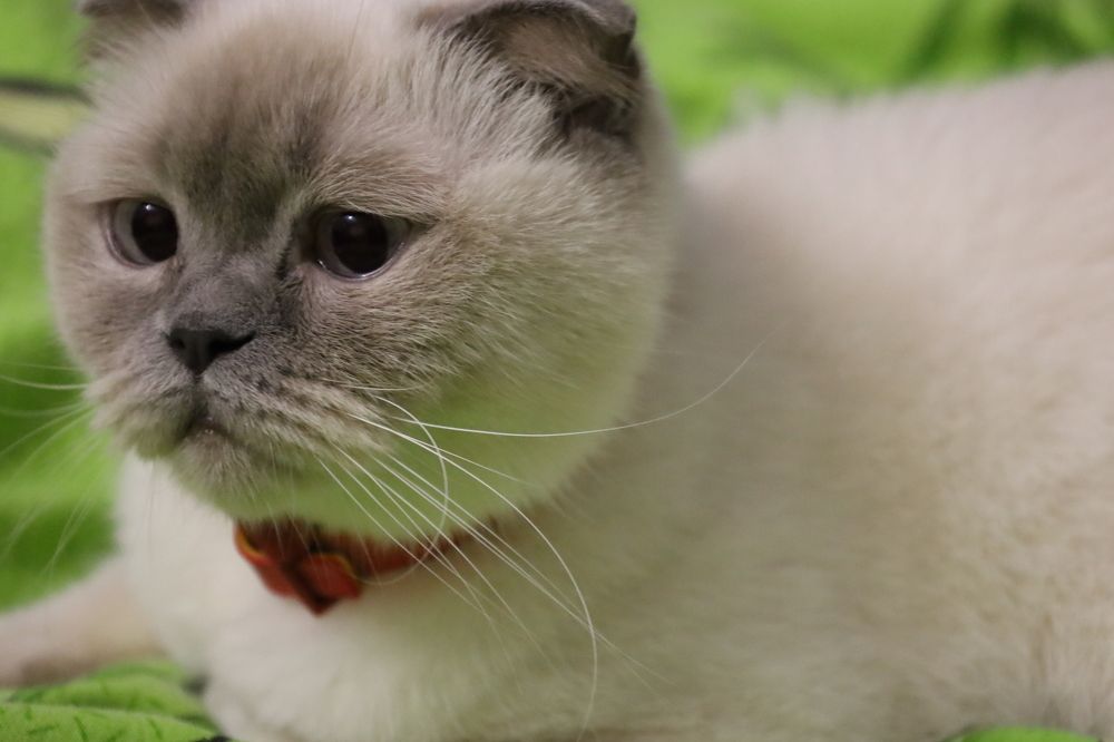 Photograph by Малиновська Олександра