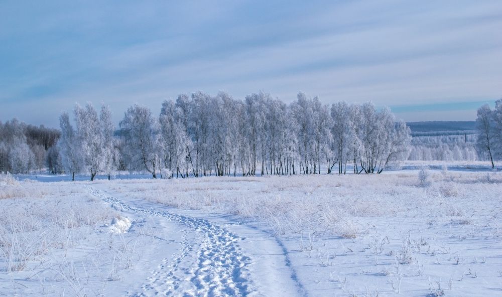 Зимняя тропа