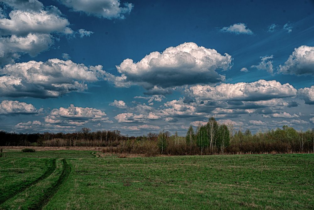 Photograph by Елена Петрюк