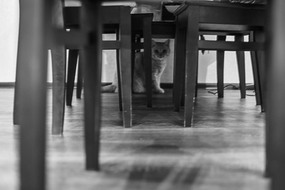 Photograph by Анастасия Авдеева