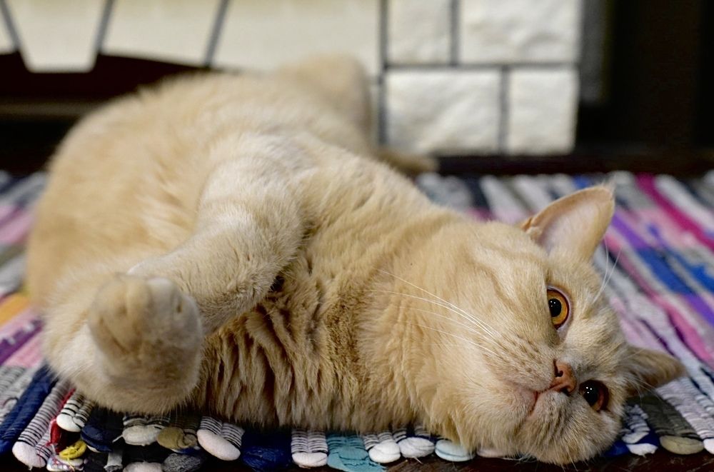 Photograph by Анастасия Авдеева