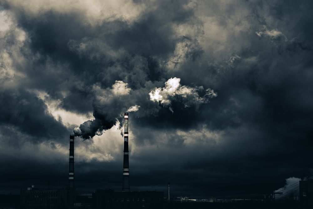 Photograph by Елена Петрюк