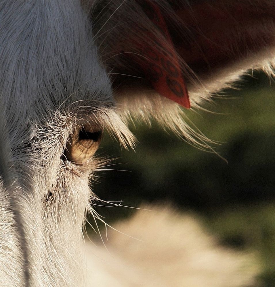 Photograph by Olga Asson