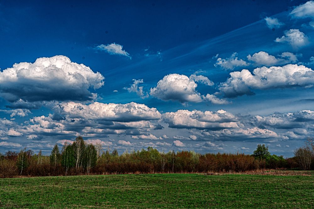 Photograph by Елена Петрюк