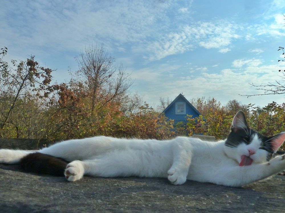 Фотография автора Клавдия Васильева