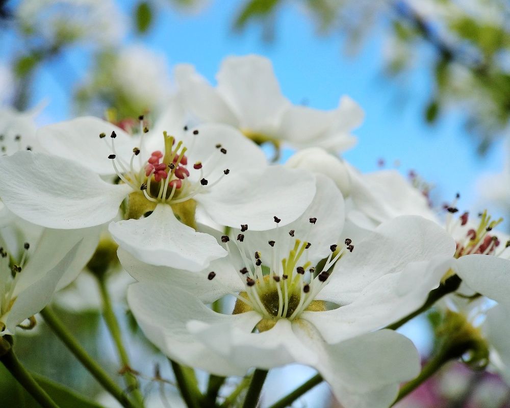 Photograph by Татьяна Чухина