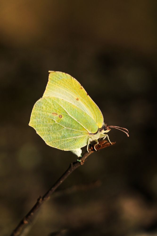 Photograph by Дарья Дрыночкина