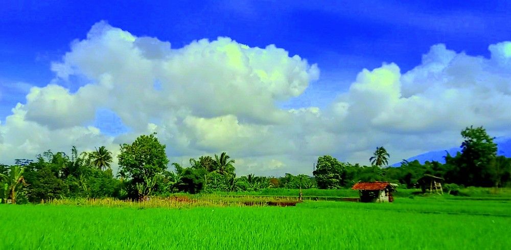 Photograph by Herawati