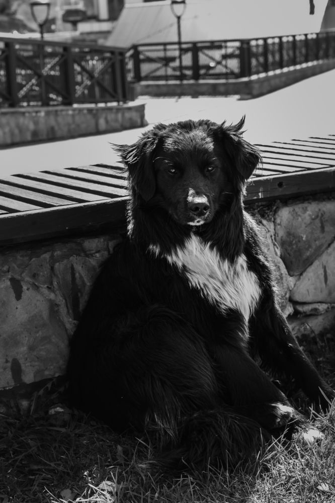 Photograph by Эдуард Арзуманов