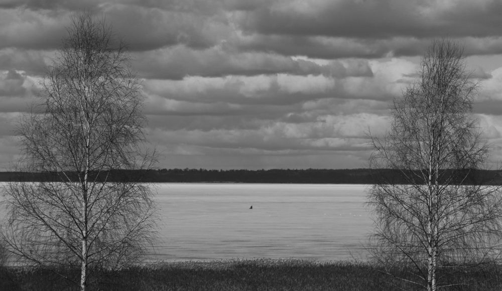 Photograph by Саша Дюбакин