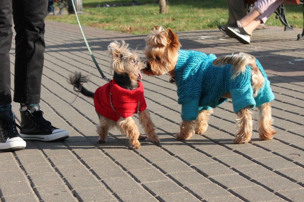 Photograph by Дарья Дрыночкина