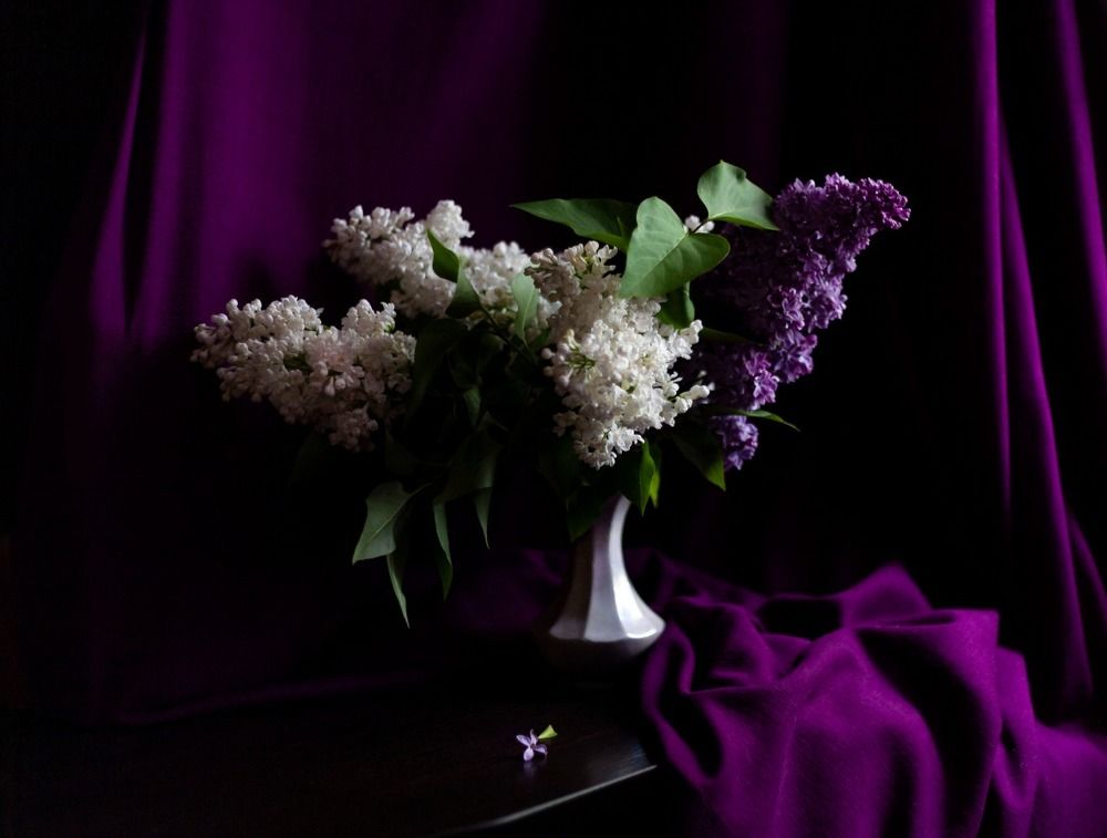 Запах весны