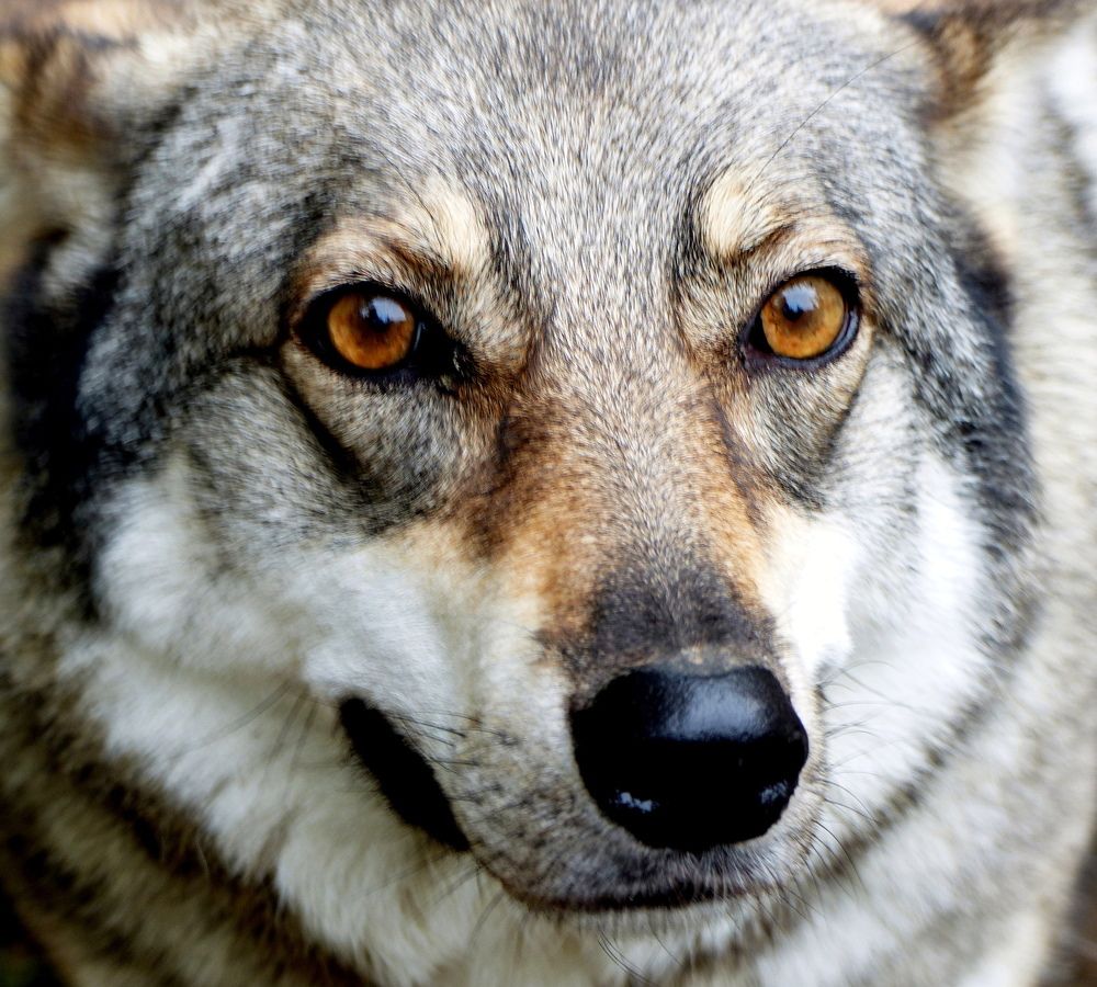 Photograph by Haim Berman