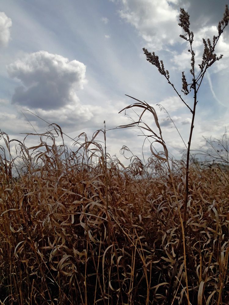 Photograph by Екатерина