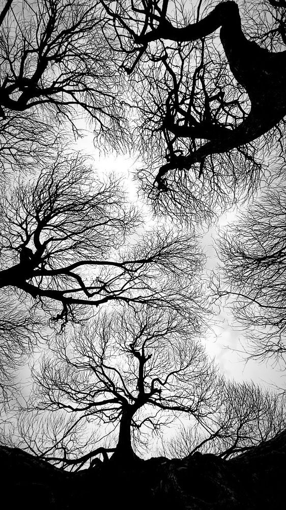 Photograph by Анастасия Ломаева