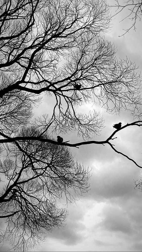 Photograph by Анастасия Ломаева