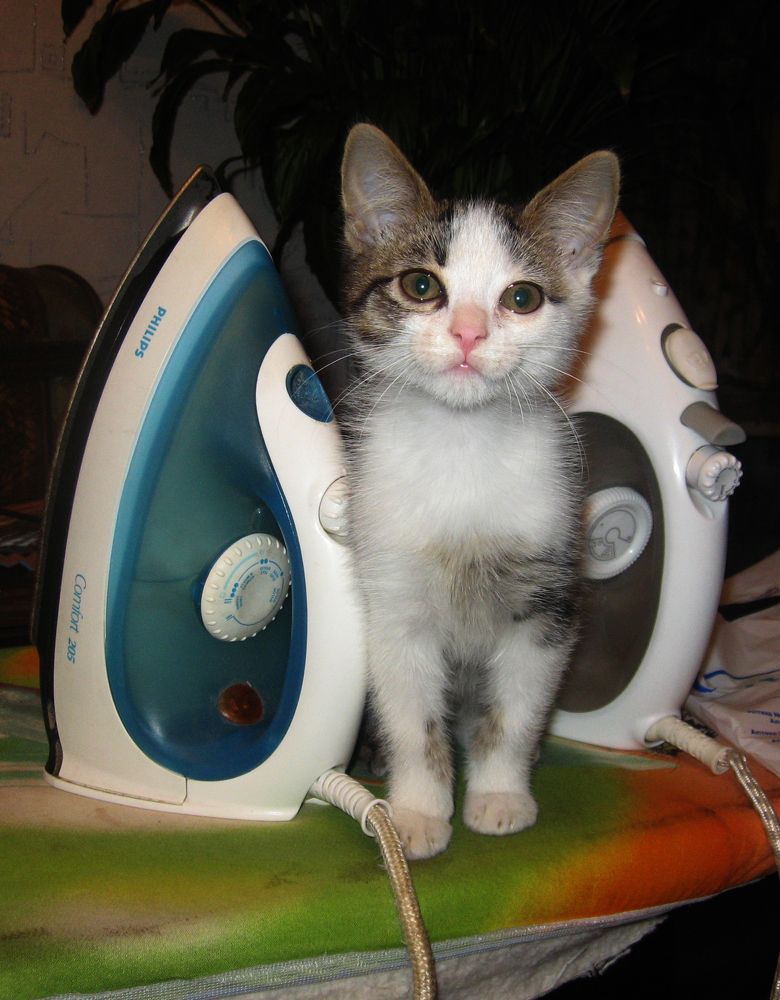 Недоглаженный